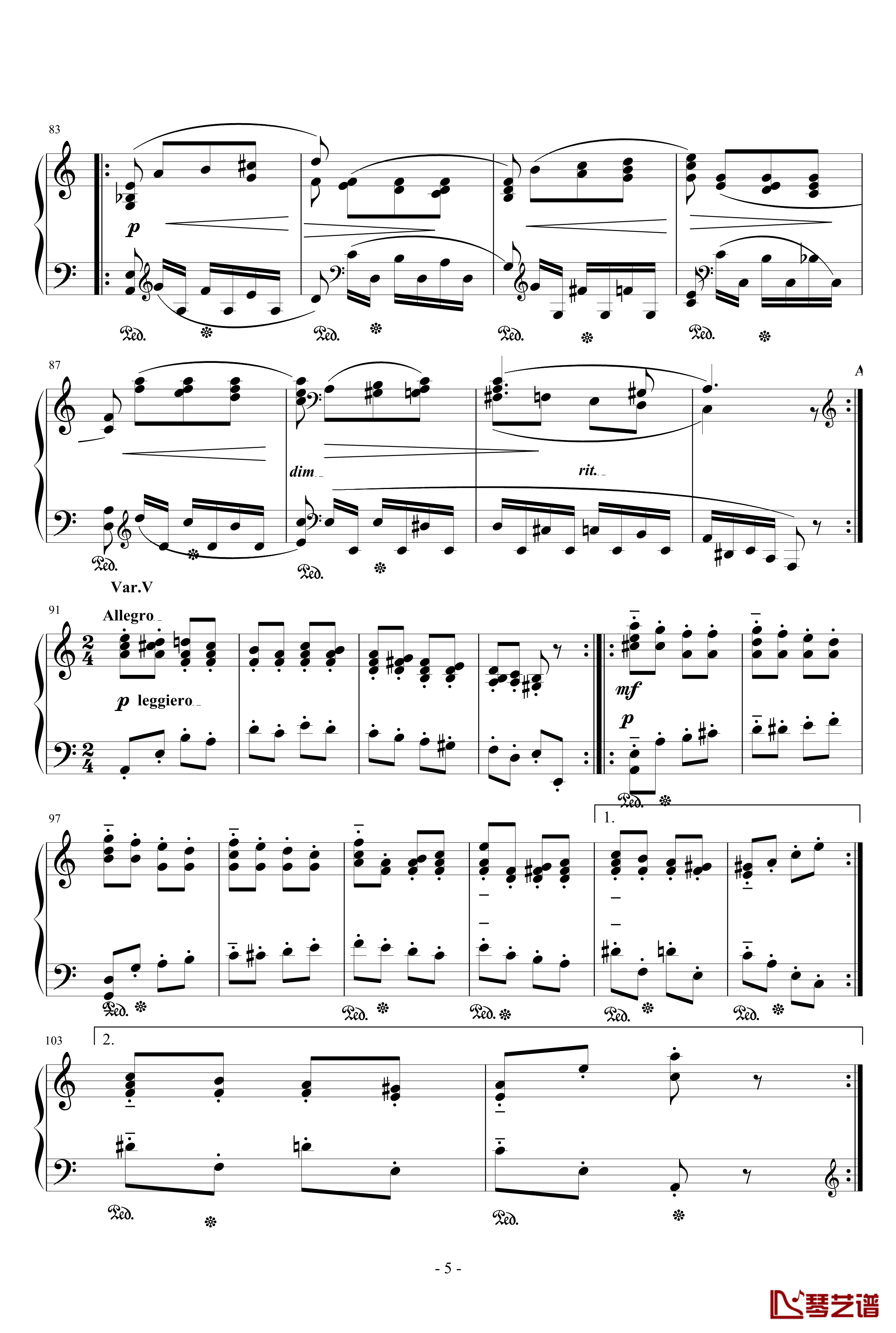 帕格尼尼主题变奏曲钢琴谱-别尔科维奇5
