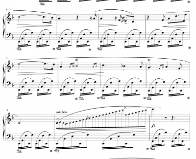No.24钢琴谱-肖邦-chopin-d小调前奏曲