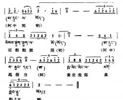 阿中简谱-藏族民歌、藏文及音译版