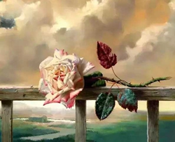 野玫瑰简谱    予人玫瑰，手有余香——舒伯特和他的野玫瑰