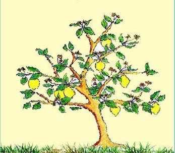 Lemon Tree柠檬树简谱-苏慧伦-一秒带你回到恋爱的夏天8