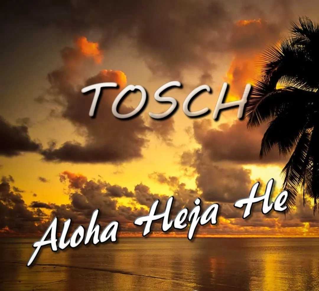 Aloha Heja He简谱-Achim Reichel-抖音神曲，一首德国水手老歌再次燃爆整个少年青春2