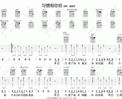 董建伟《习惯有你在》吉他谱(C调)-Guitar Music Score