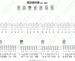 蔡健雅《被驯服的象》吉他谱(C调)-Guitar Music Score