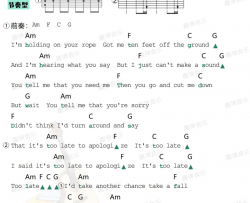 OneRepublic《Apologize》吉他谱(C调)-Guitar Music Score