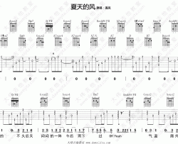 温岚《夏天的风》吉他谱(D调)-Guitar Music Score